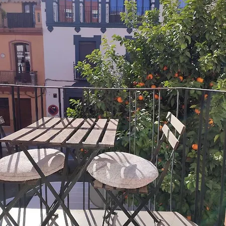 Apartamento Loft House Triana