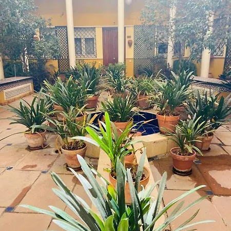 Cozy&quiet In Sanvicente St Andalusian Patio