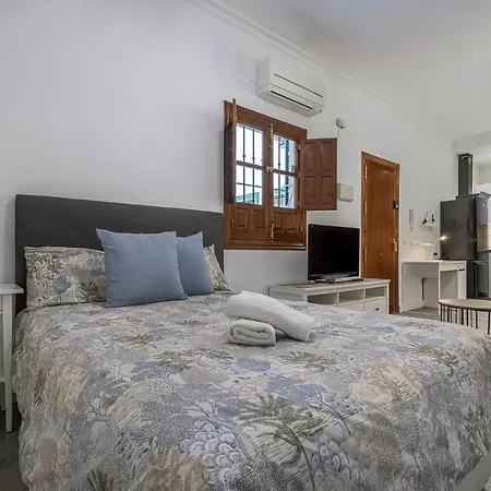 Apartment Estudio Calle Banos Seville
