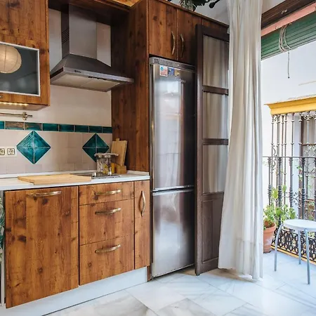 Apartment Homeyseville-preciosa Casa Santa Cruz 7pers Parking Optional Seville