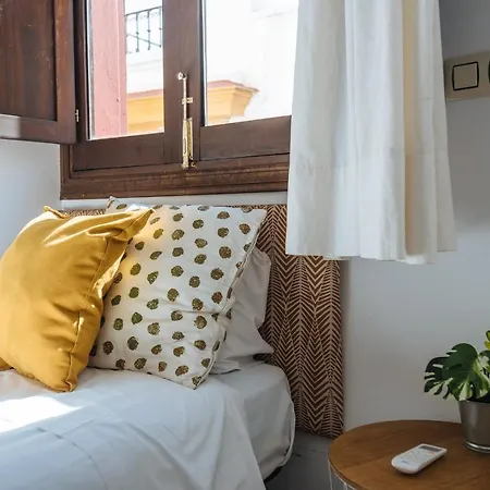 Homeyseville-preciosa Casa Santa Cruz 7pers Parking Optional Apartment *