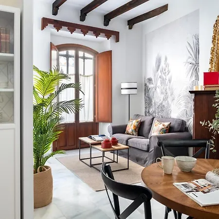Hernando Colon Apartment Seville