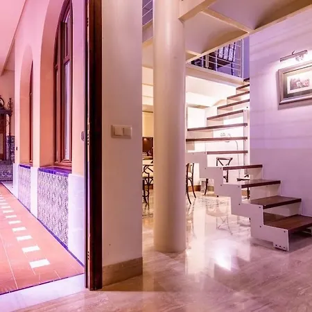 Luxury & Elegant Duplex In Center *