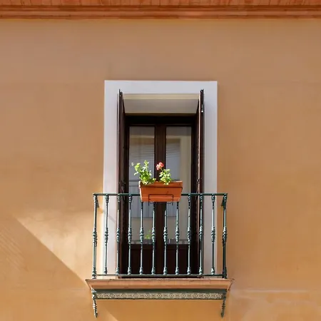 Triana Boutique By Hommyhome Seville