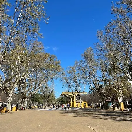Alameda De Hercules Seville