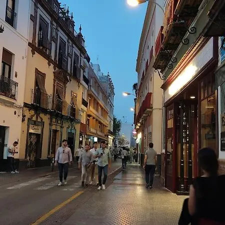 Estudio Moderno Con Opcion De Garaje Seville
