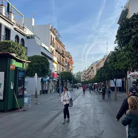 Apartment 180 Home. Rincon De Triana *
