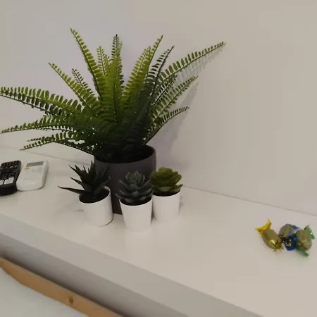 Apartment Mini Estudio Jacuzzi Doble 