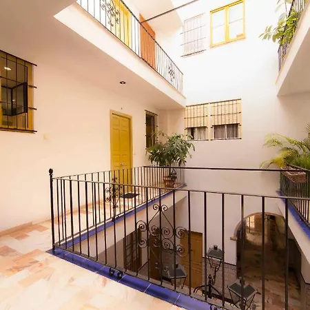 Modern In Centre Apartment