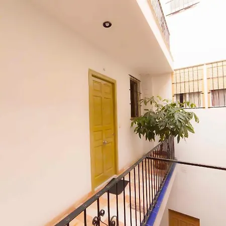 Apartment Modern In Centre Seville