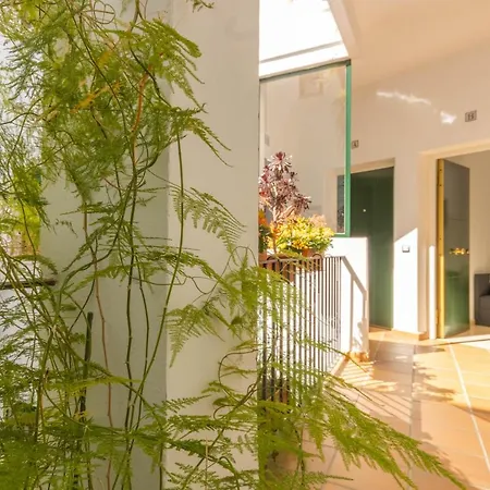 Anais Centro Apartment