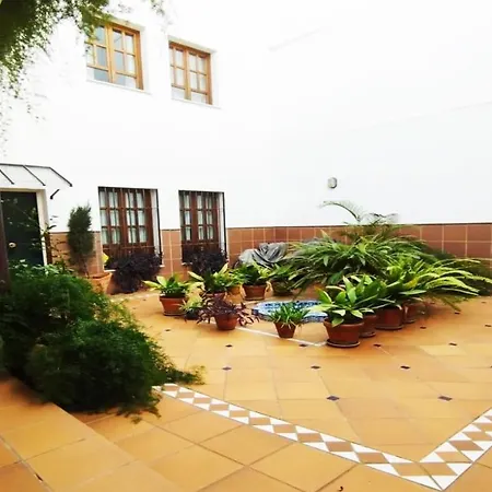 Anais Centro Seville