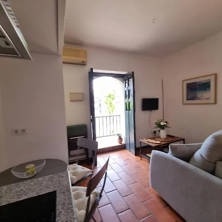 Con Patio Sevillano Apartment