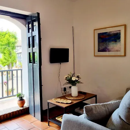 Con Patio Sevillano Apartment *