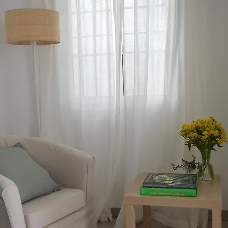 Isg Precioso Atico Con Terraza Privada En El Centro * Seville