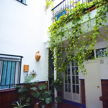 Santa Maria La Blanca Guest house Seville