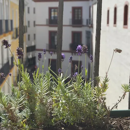 Isg Precioso Atico Con Terraza Privada En El Centro