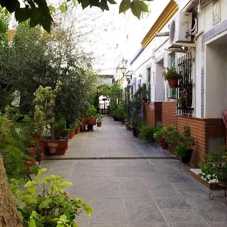 Tipico Y Pintoresco Patio De Vecinos, Con Encanto Seville