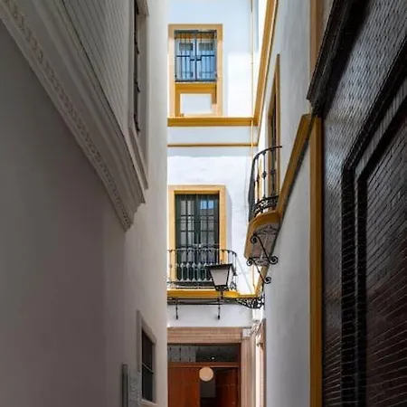 San Buenaventura 15 *