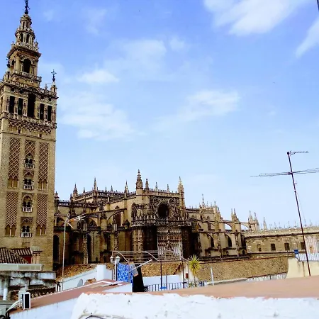 ¡en Frente De La Giralda-catedral! Apartment *