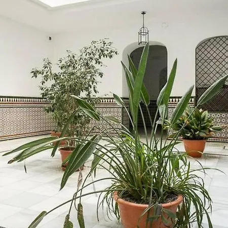 Cozy In A Typical Sevillian Patio House * Seville