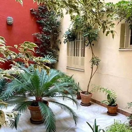 Acogedor Y Tranquilo Cerca De Setas - Centro *