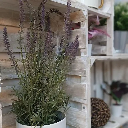 Tipico Y Pintoresco Patio De Vecinos, Con Encanto Апартаменты Севилья