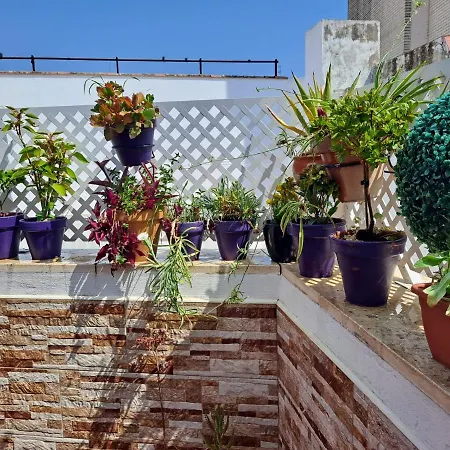Apartment Atico Duplex Marques De Reyes