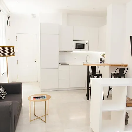 Apartment Gotoseville Siete Revueltas Seville