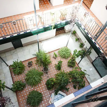 Apartamento Gotoseville Sierpes