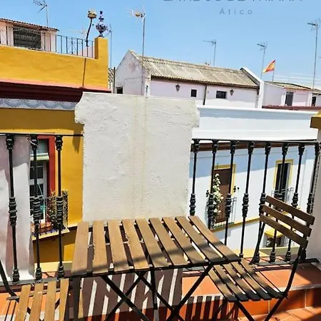 Latidos De Triana - Atico Con Vistas A Todo