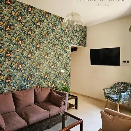 Apartment Latidos De Triana - Atico Con Vistas A Todo *