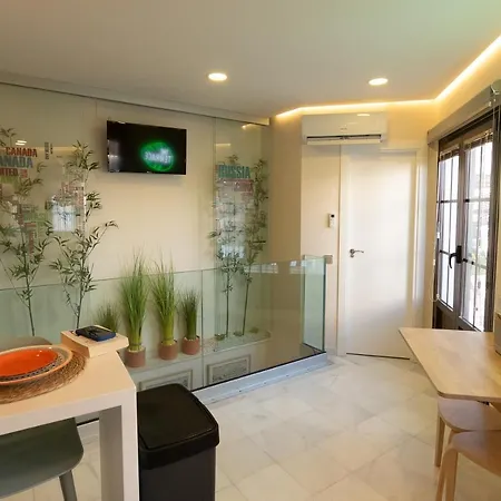 Apartment The Terrace, Duplex Con Terraza Privada *
