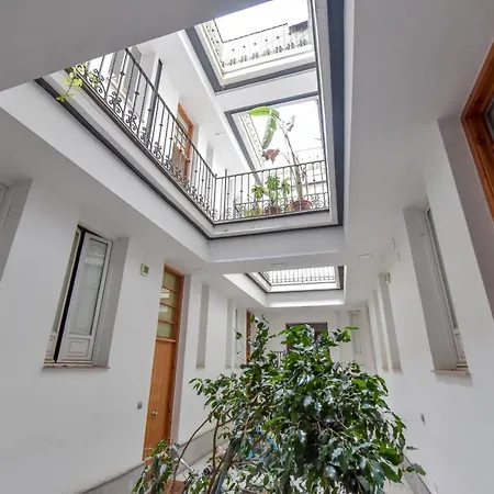 New! Bohemian In The Center Seville