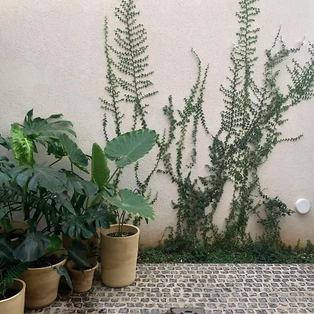 Design Near Center, Cool Popular Neighborhood Seville