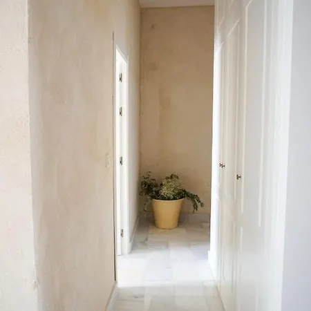 Apartment Azahar Cathedral *