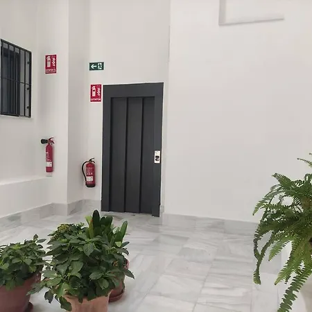 Apartment Calm & Design *