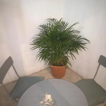 Apartment Sweet Catalina-centric 4 Guests *