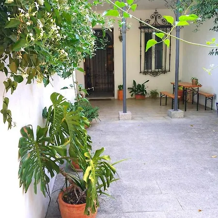 Alacas Seville