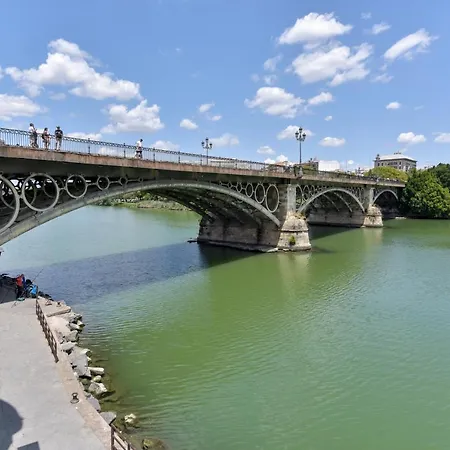 Alohamundi Pureza Ii Seville