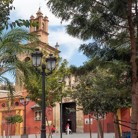 Alohamundi Conde De Barajas