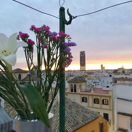 Apartment Sweet In Downtow In Seville