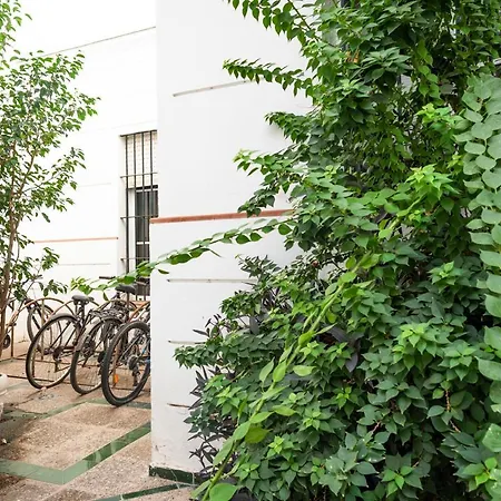 Alohamundi Aire Seville