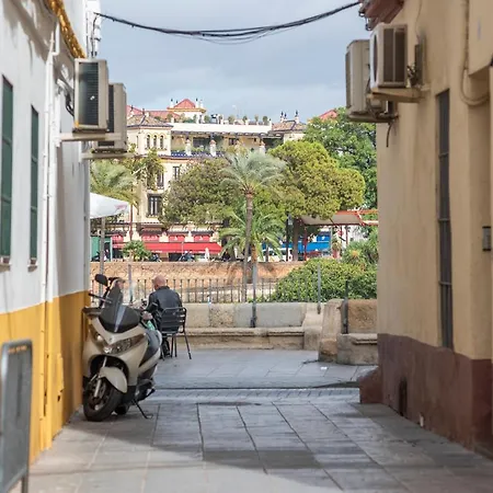Flipanddo Triana Seville
