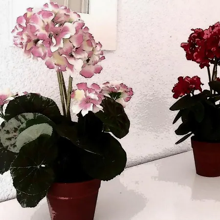 Apartamento Casa Pascual.tranquilidad En Pleno Centro Sevilla