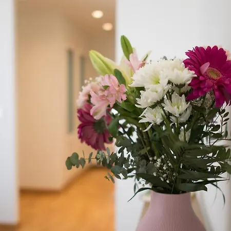 Apartment Rey De Flats - Arenal *