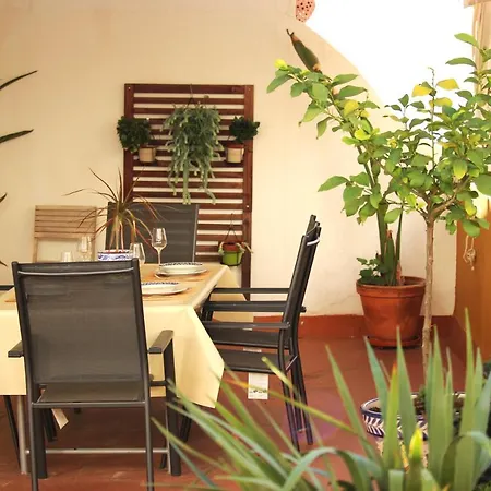 Apartment Duplex Acogedor Con Gran Terraza En Pleno Centro De Sevilla! Seville