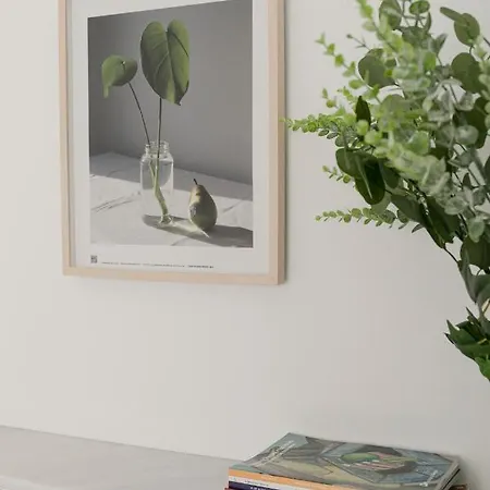 Aurora Terrace Apartment