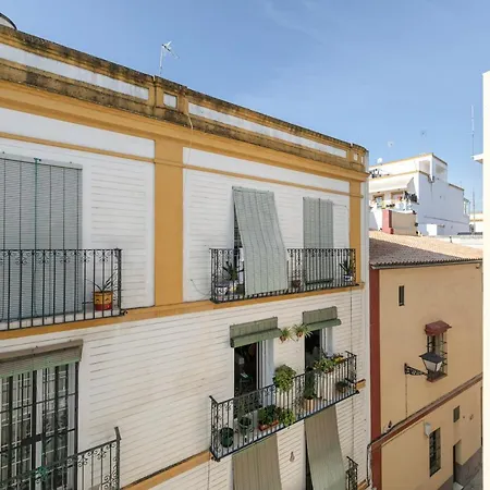 Aurora Terrace *