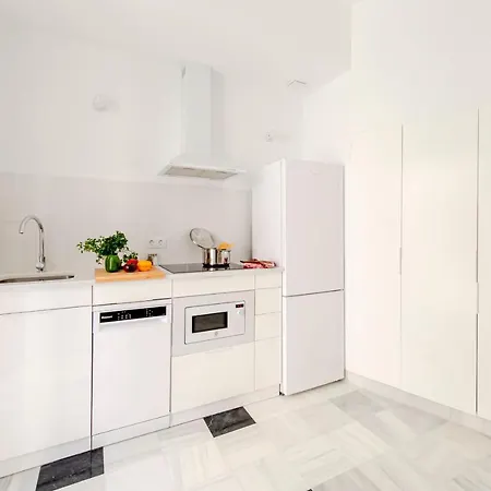 Apartment Aurora Terrace Seville
